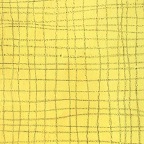raster gelb, 2000, Oel/Lw, 80x140cm