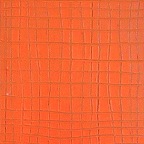 raster orange, 2000, Oel/Lw, 80x140cm