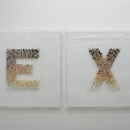 EX, butterflies, insect pins, foam, acrylic glass, 91 x 91 cm (each), 2010