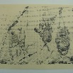 Time To Play, Graphit auf Papier (Hahn Karton, 300grm2), 100cm x 140cm, 2010