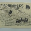 Cage, Graphit auf Papier (Hahn Karton, 300grm2), 140cm x 100cm, 2010